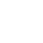 fingerprint icon